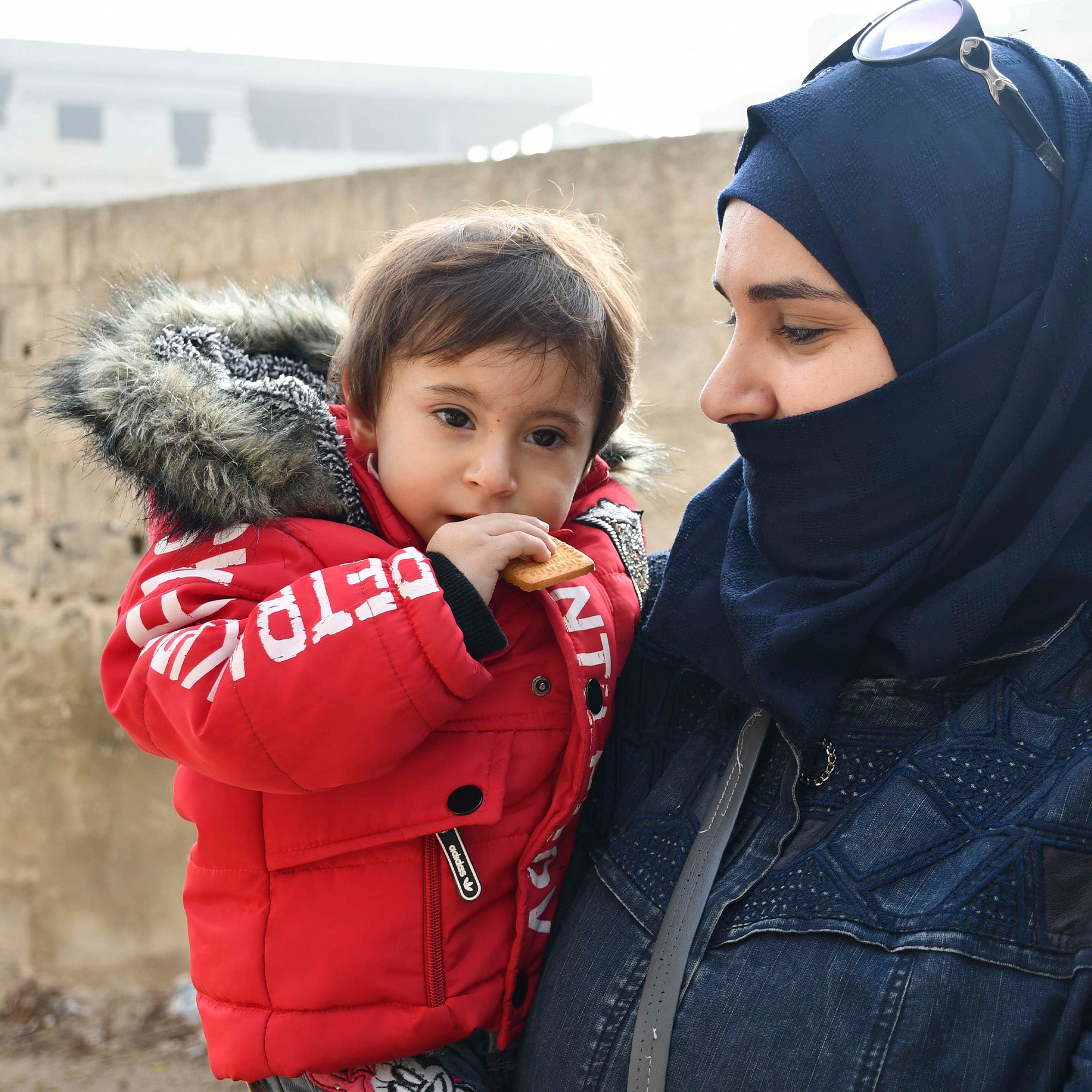 100 Packs of High-Energy Biscuits - Greeting Card