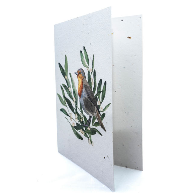 Pack of 10 Mixed Robin and Tree Plantable Christmas Cards