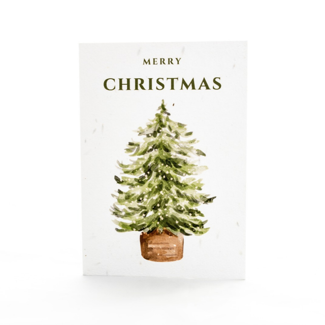 Pack of 10 Mixed Robin and Tree Plantable Christmas Cards