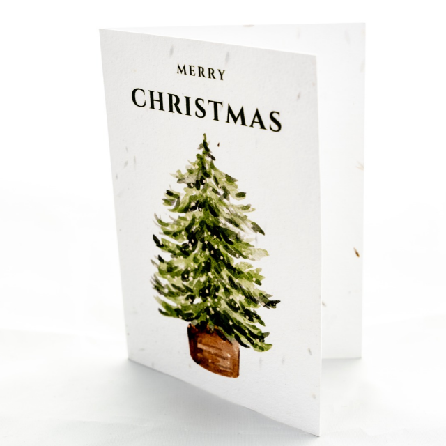 Pack of 10 Mixed Robin and Tree Plantable Christmas Cards