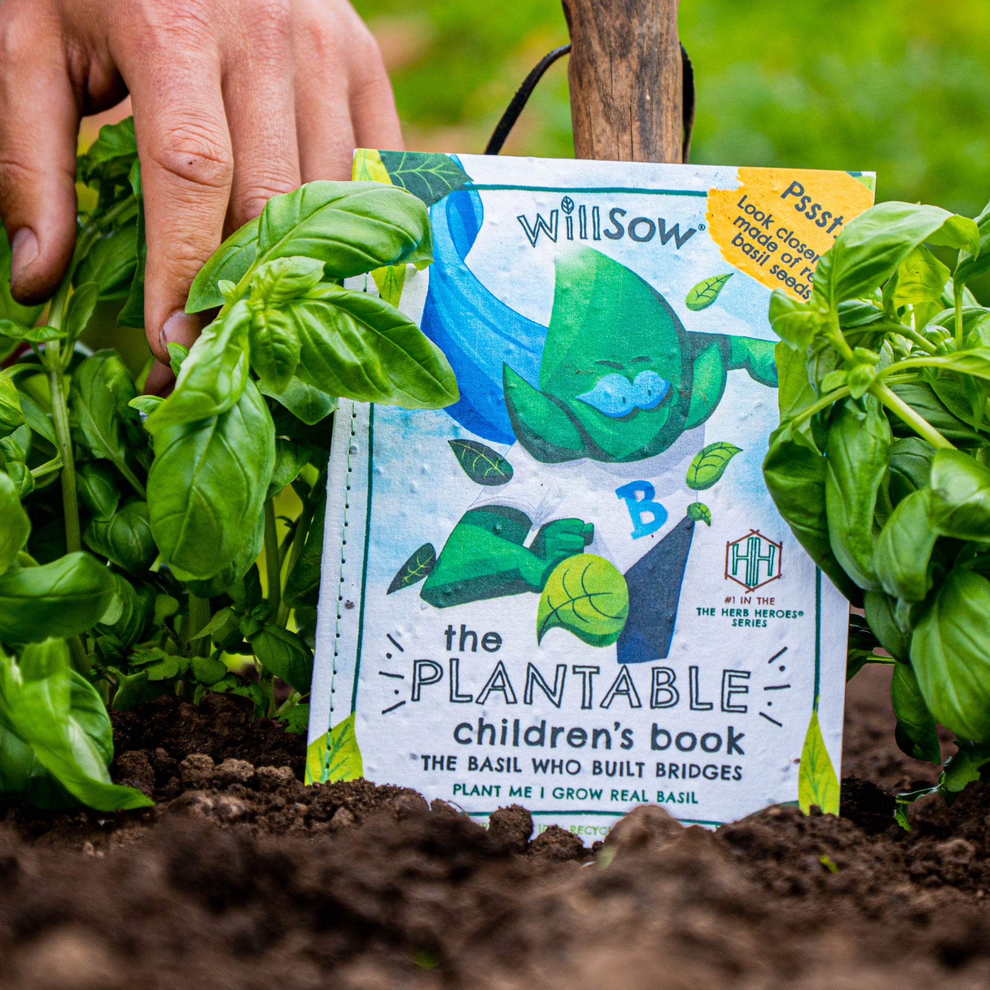 The Basil Who Built Bridges