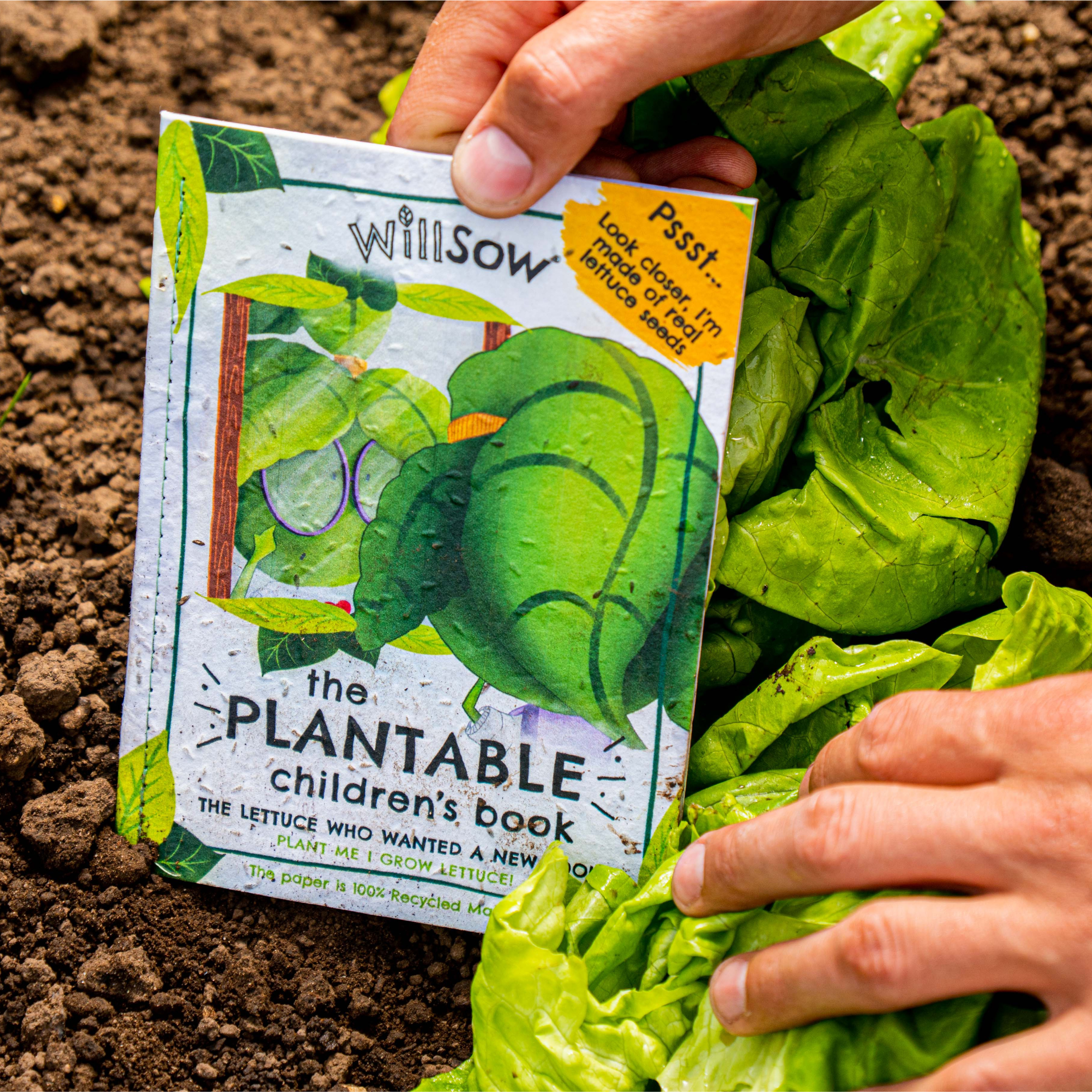 The Lettuce Who Wanted A New Look