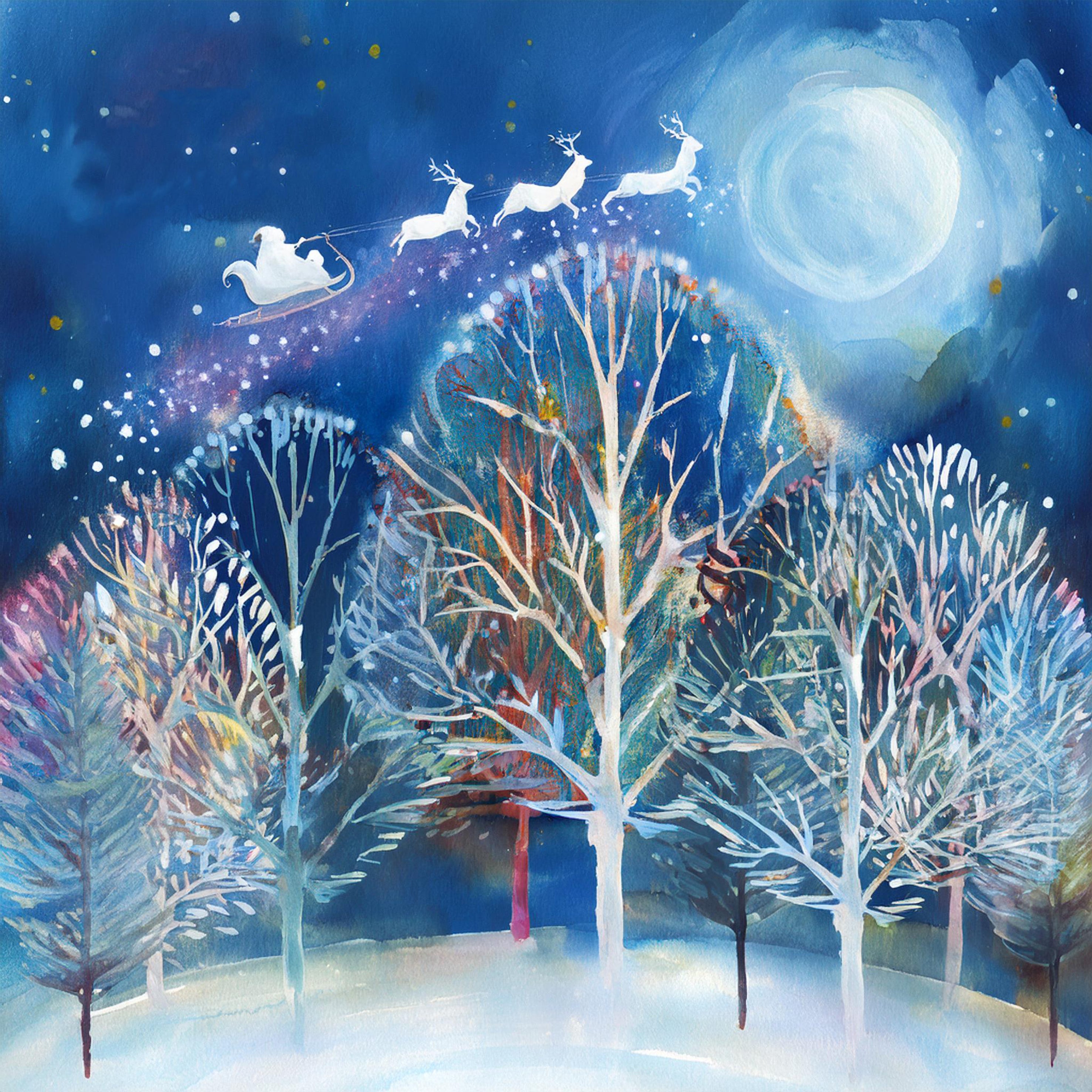 Santa's Evening Flight