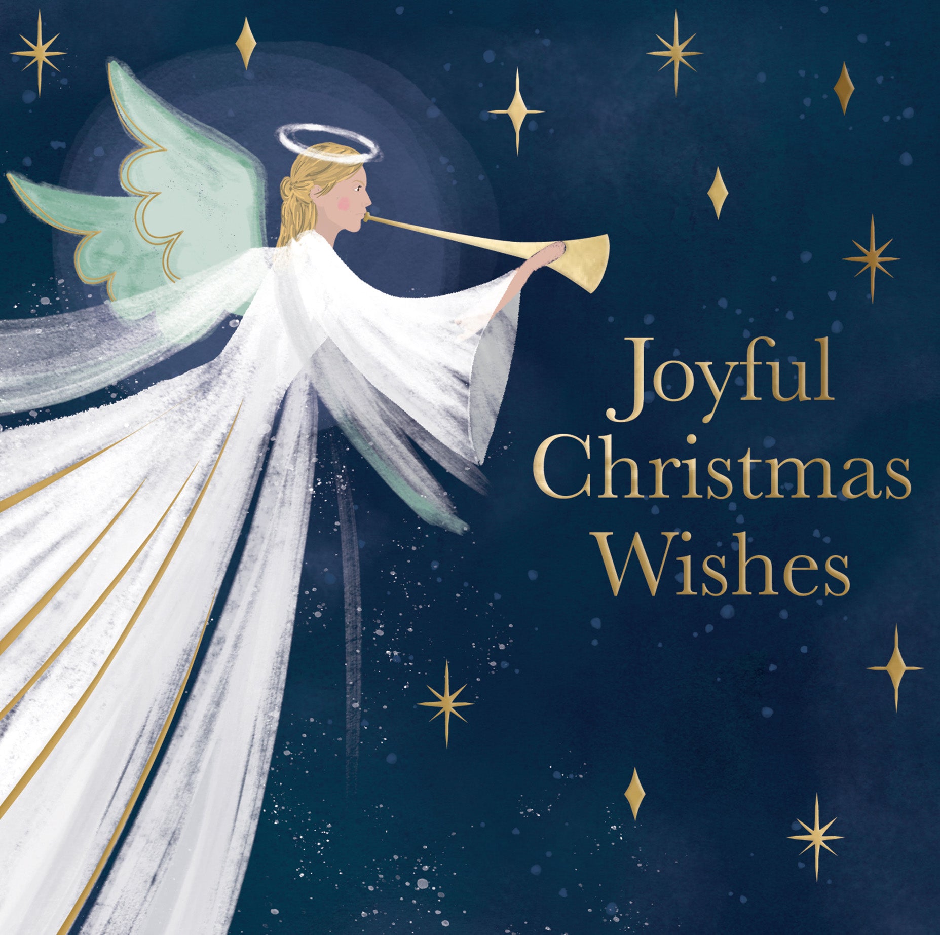 Joyful Christmas Wishes (pack of 10 cards)