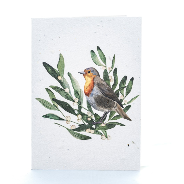 Pack of 10 Mixed Robin and Tree Plantable Christmas Cards