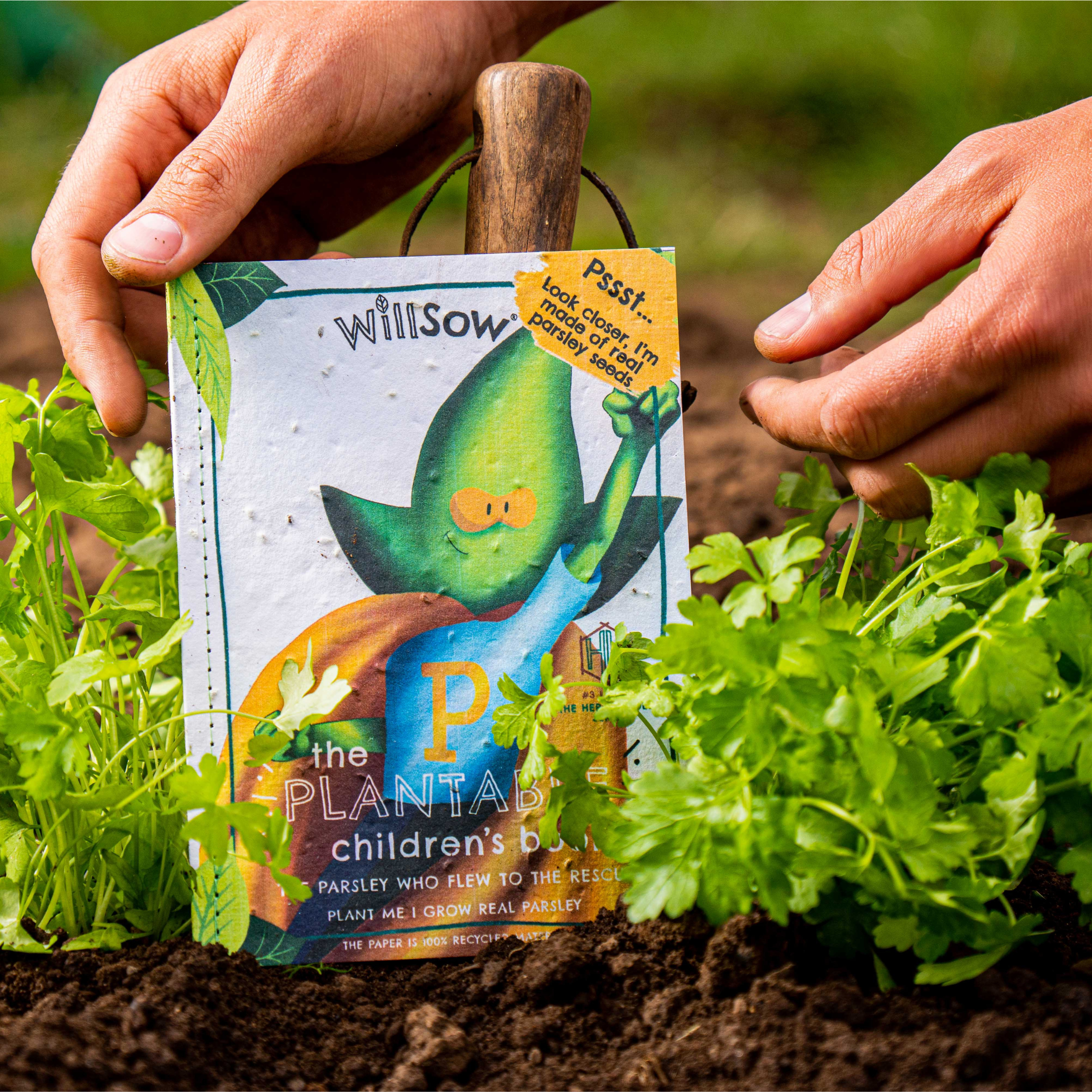 The Parsley Who Flew to The Rescue